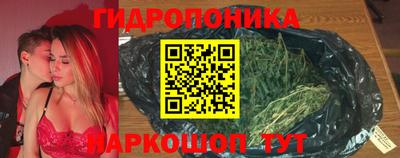 гидра Апрелевка
