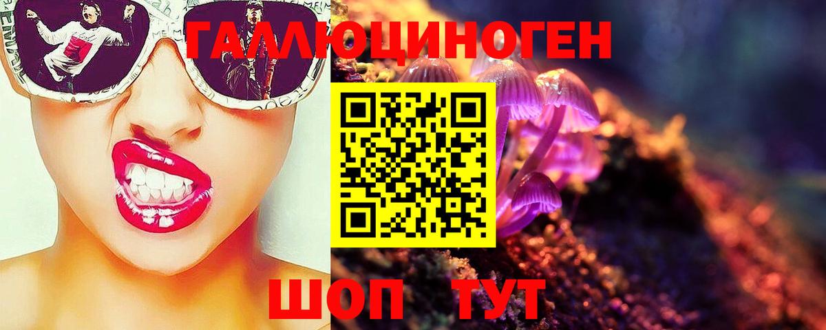 Галлюциногенные грибы Psilocybe Аша